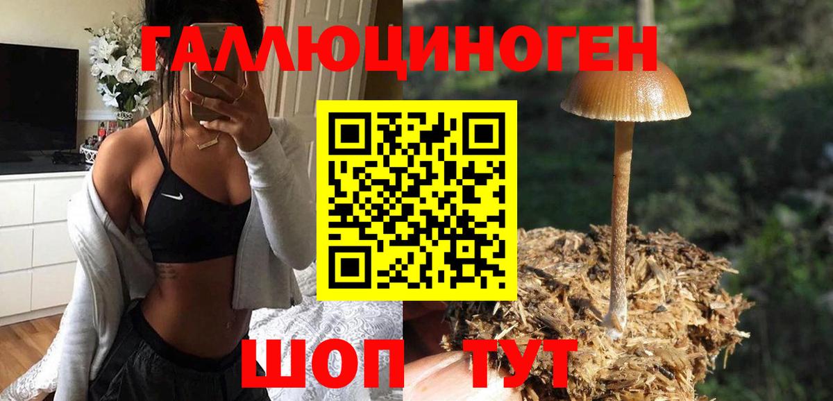 Дмитров  купить наркотики цена  Вход с VPN  Псилоцибиновые грибы мицелий 